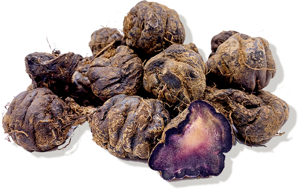 maca.png__PID:e6bd1df0-c565-4e5a-9466-dbf44df37975